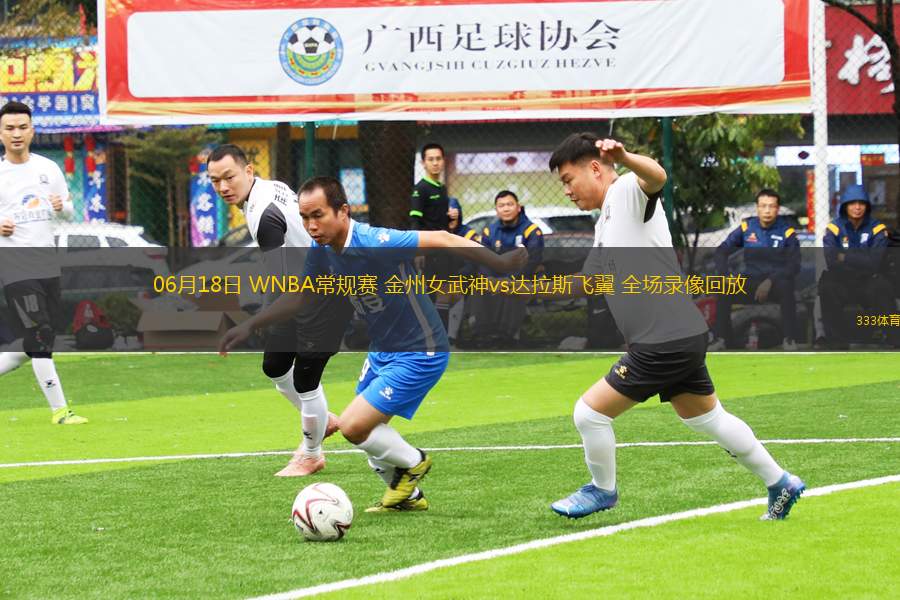 06月18日 WNBA常規(guī)賽 金州女武神vs達拉斯飛翼 全場錄像回放