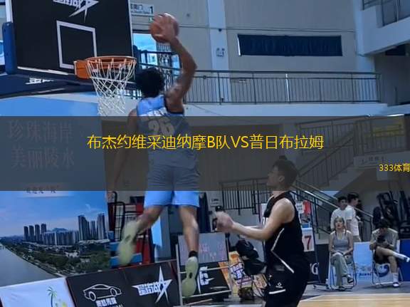 布杰約維采迪納摩B隊(duì)VS普日布拉姆