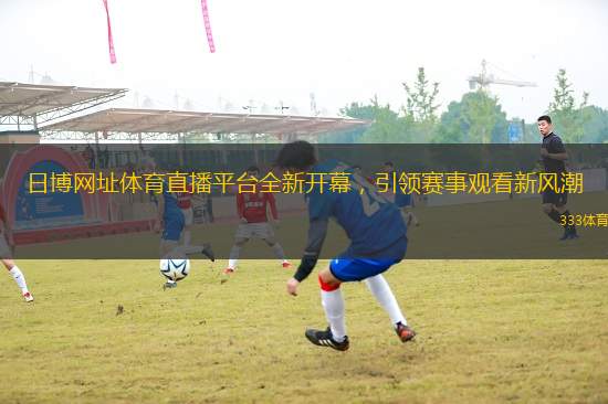 日博網(wǎng)址體育直播平臺全新開幕，引領(lǐng)賽事觀看新風(fēng)潮