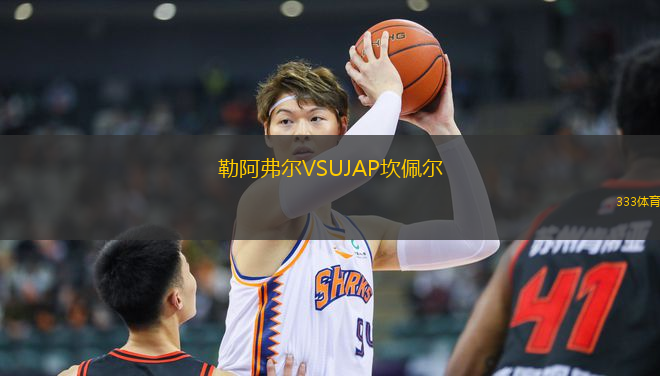 勒阿弗爾VSUJAP坎佩爾