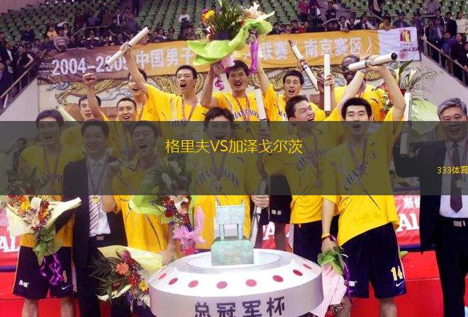 格里夫VS加澤戈?duì)柎?> </a>
            <div   id=