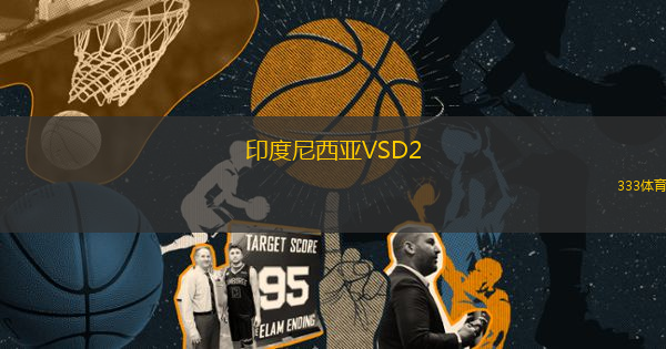 印度尼西亞VSD2