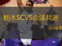 櫪木SCVS金澤共進