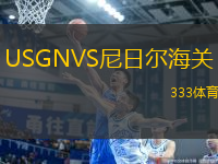 USGNVS尼日爾海關