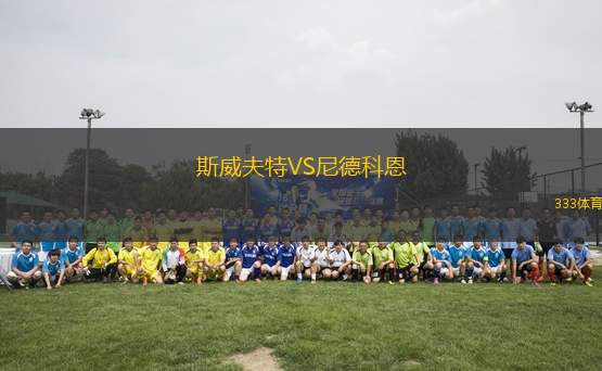 斯威夫特VS尼德科恩
